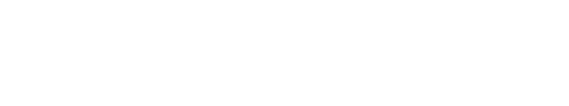 Phalanx Insurance Services